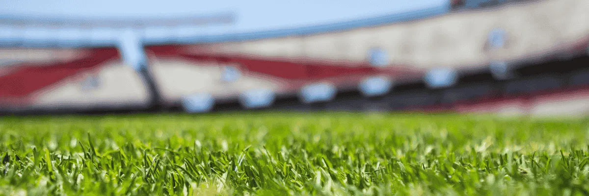 Zonas rojas del estadio Municipal Alcaldesa Ester Roa Rebolledo