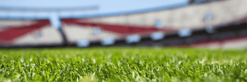 Zonas rojas del estadio Municipal Alcaldesa Ester Roa Rebolledo Zonas rojas del estadio Municipal Alcaldesa Ester Roa Rebolledo