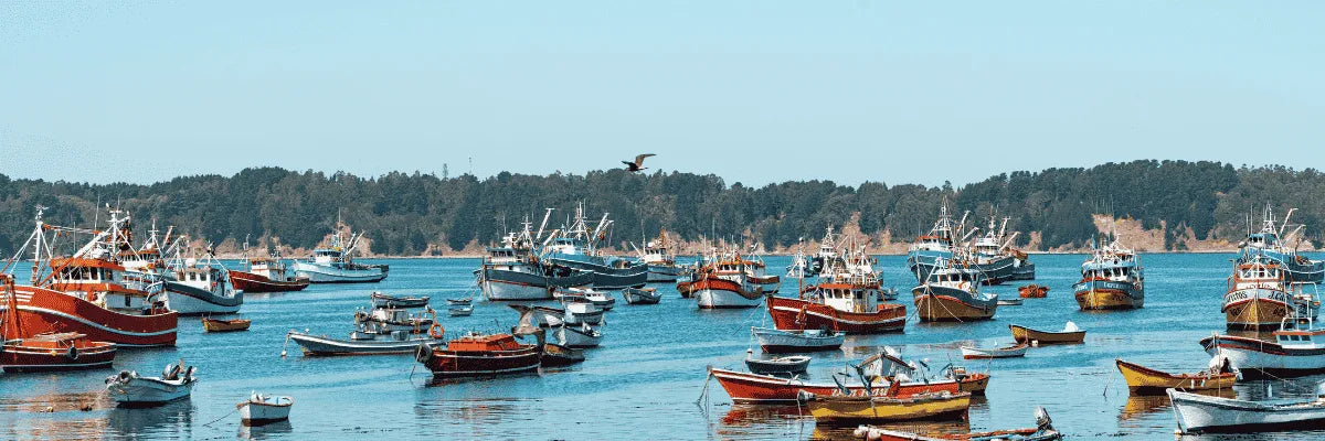 Zonas seguras en Talcahuano