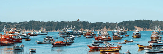 Zonas seguras en Talcahuano