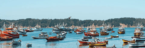 Zonas seguras en Talcahuano Zonas seguras en Talcahuano