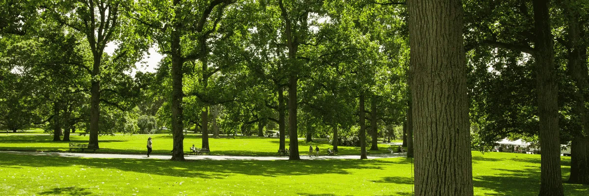 Zonas seguras en Plaza de la Independencia de Concepción