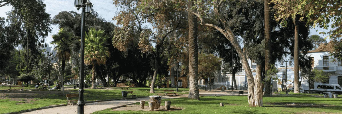 Zonas rojas en la Plaza Brasil