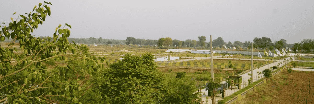 Alarmas con monitoreo 24/7 para tu parcela