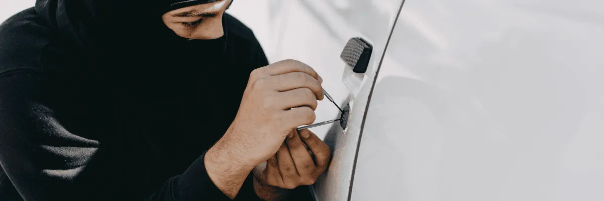 ¿Cuáles son las penas por cometer un robo de vehículo motorizado?