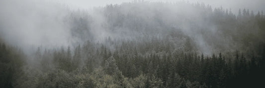 ¿Qué alarmas para parcelas resisten mejor el clima extremo?