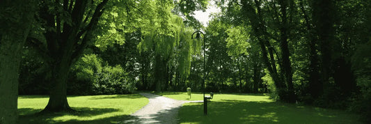 Zonas rojas en parque Cerrillos