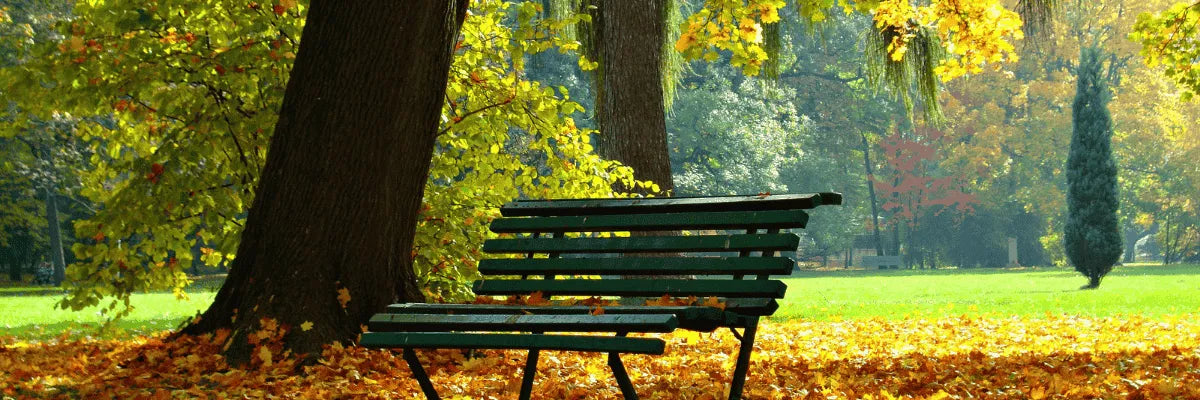 Zonas rojas en Parque Ecuador de Concepción