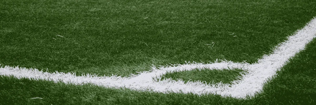 Zonas rojas Estadio Municipal La Cisterna