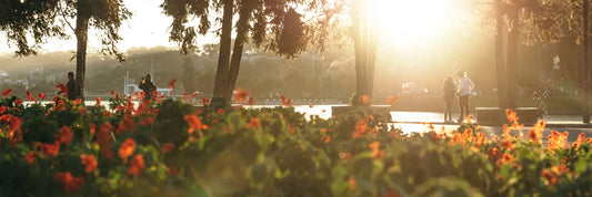Zonas rojas en Parque de Los Reyes