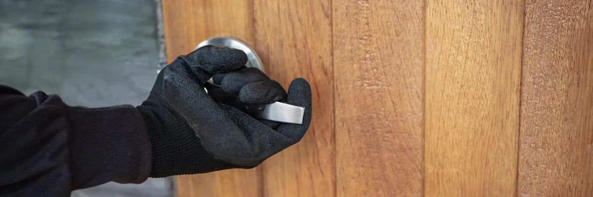 Cámaras de seguridad: Como minimizar amenazas si entran a tu hogar