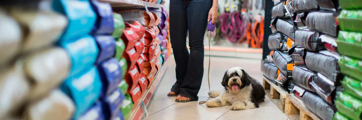 Cómo abrir un local comercial de comidas para mascotas en Santiago: Seguridad, ante todo