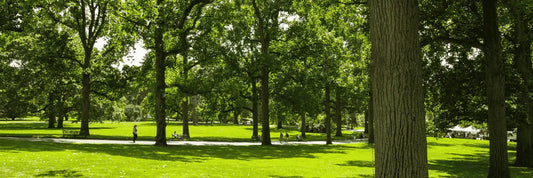 Zonas seguras en Plaza de la Independencia de Concepción