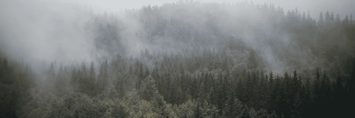 ¿Qué alarmas para parcelas resisten mejor el clima extremo?