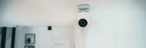 Cámaras de seguridad interior con inteligencia artificial