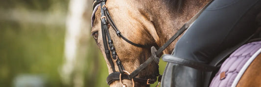 Zonas rojas alrededor del Club Hípico de Santiago