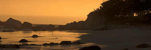 Zonas seguras en Isla Negra