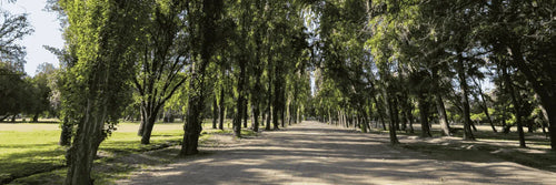 Zonas rojas alrededor del Intercomunal de La Reina