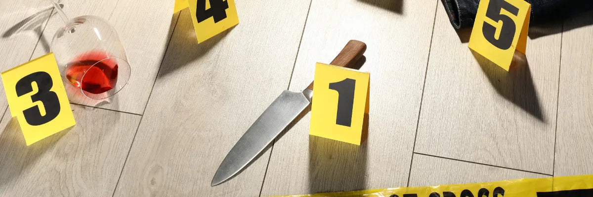 Prevención de homicidios en contextos urbanos: programas comunitarios que funcionan