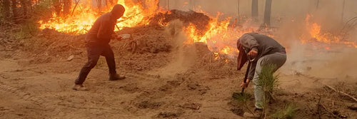 Qué hacer ante una alerta roja por incendios forestales 2026