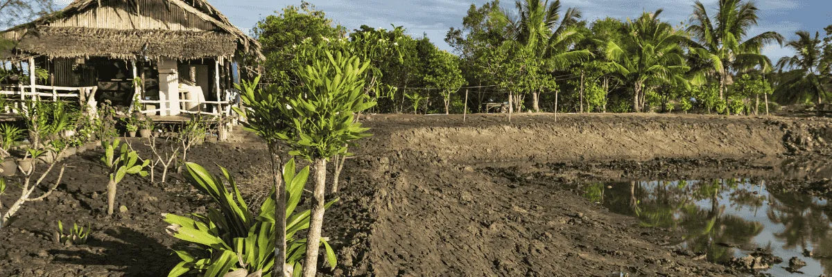 Alarmas para casa contra corte de luz en zonas agrícolas