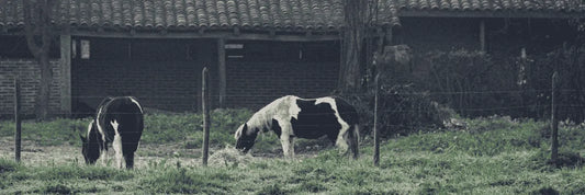 Qué sistema de seguridad usar si vives fuera de la ciudad