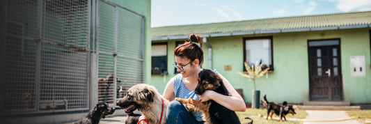 persona cuidando animales en un refugio