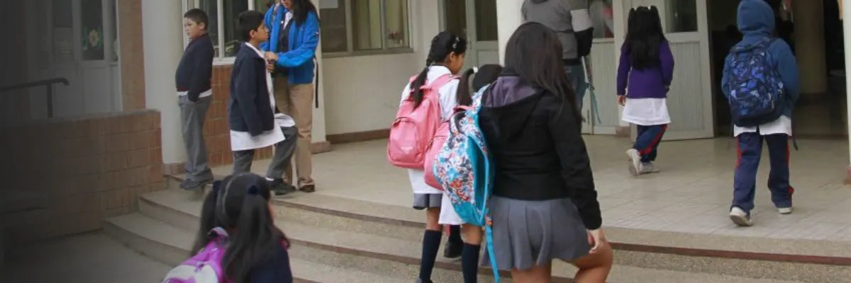 Seguridad escolar en zonas peligrosas: el rol de apoderados y colegios